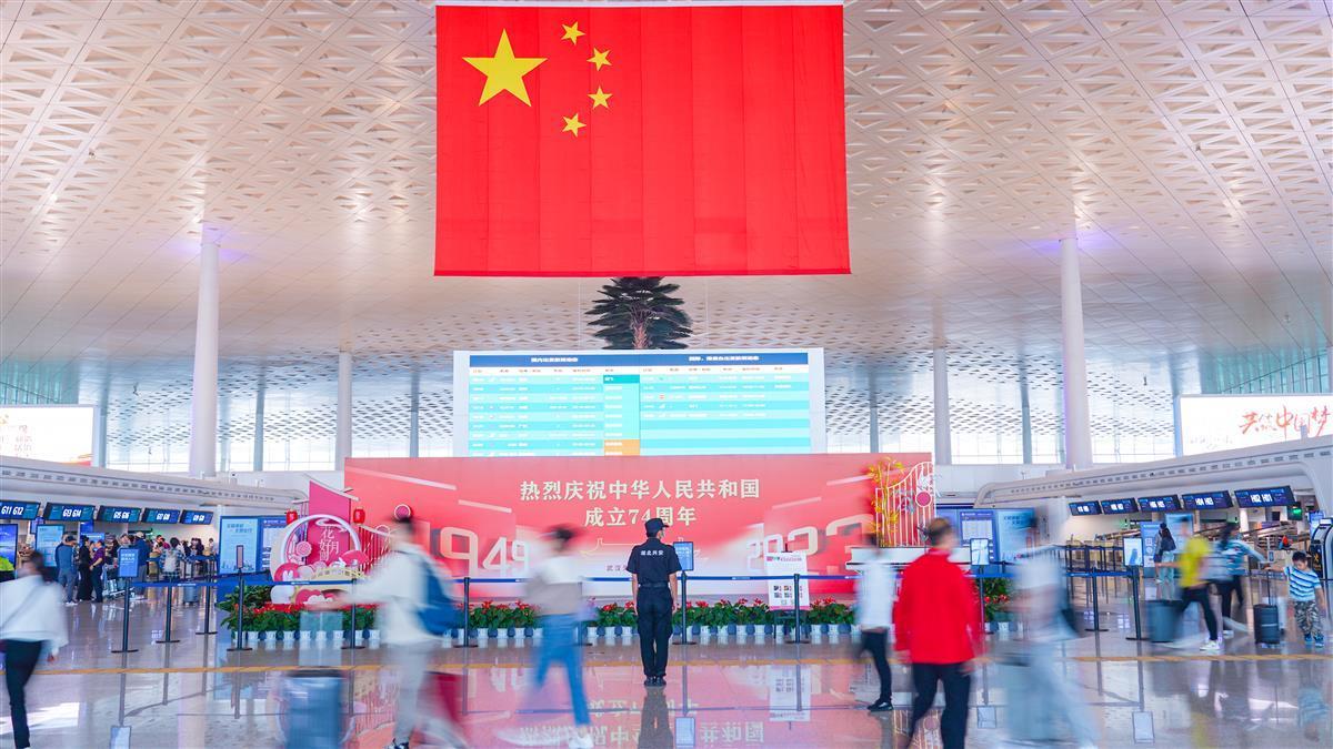 白家乐押法